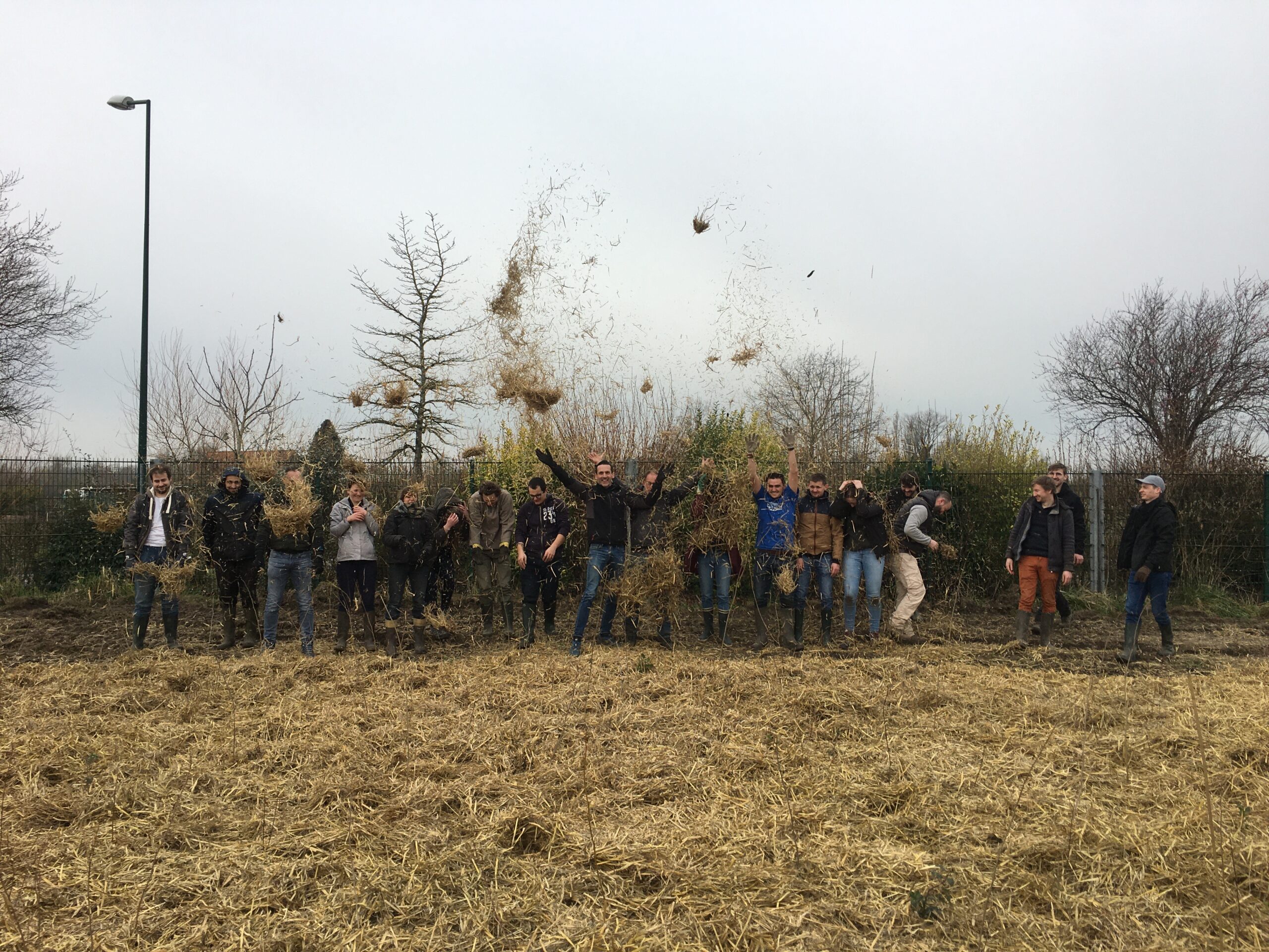 Plantation sur votre terrain