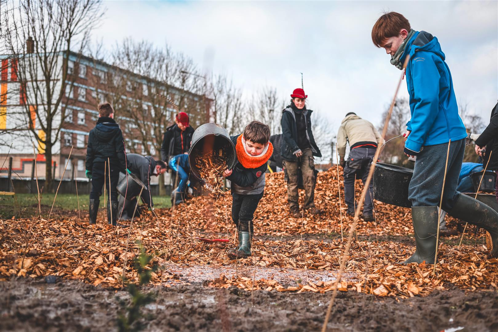Plantation sur votre terrain